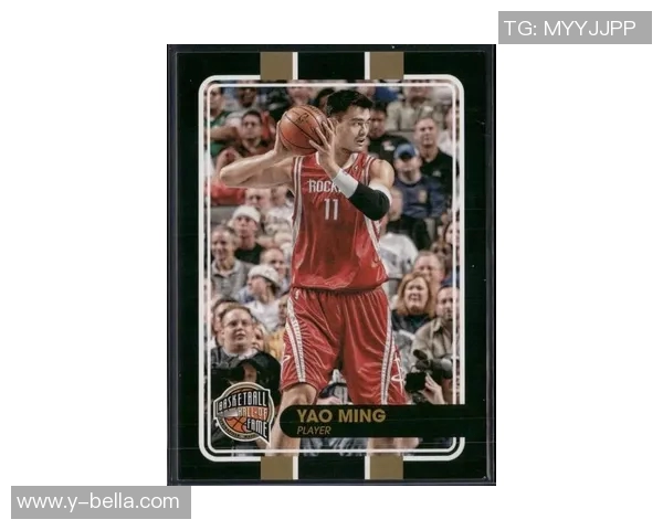 姚明的传奇人生从篮球场到国际舞台的辉煌故事